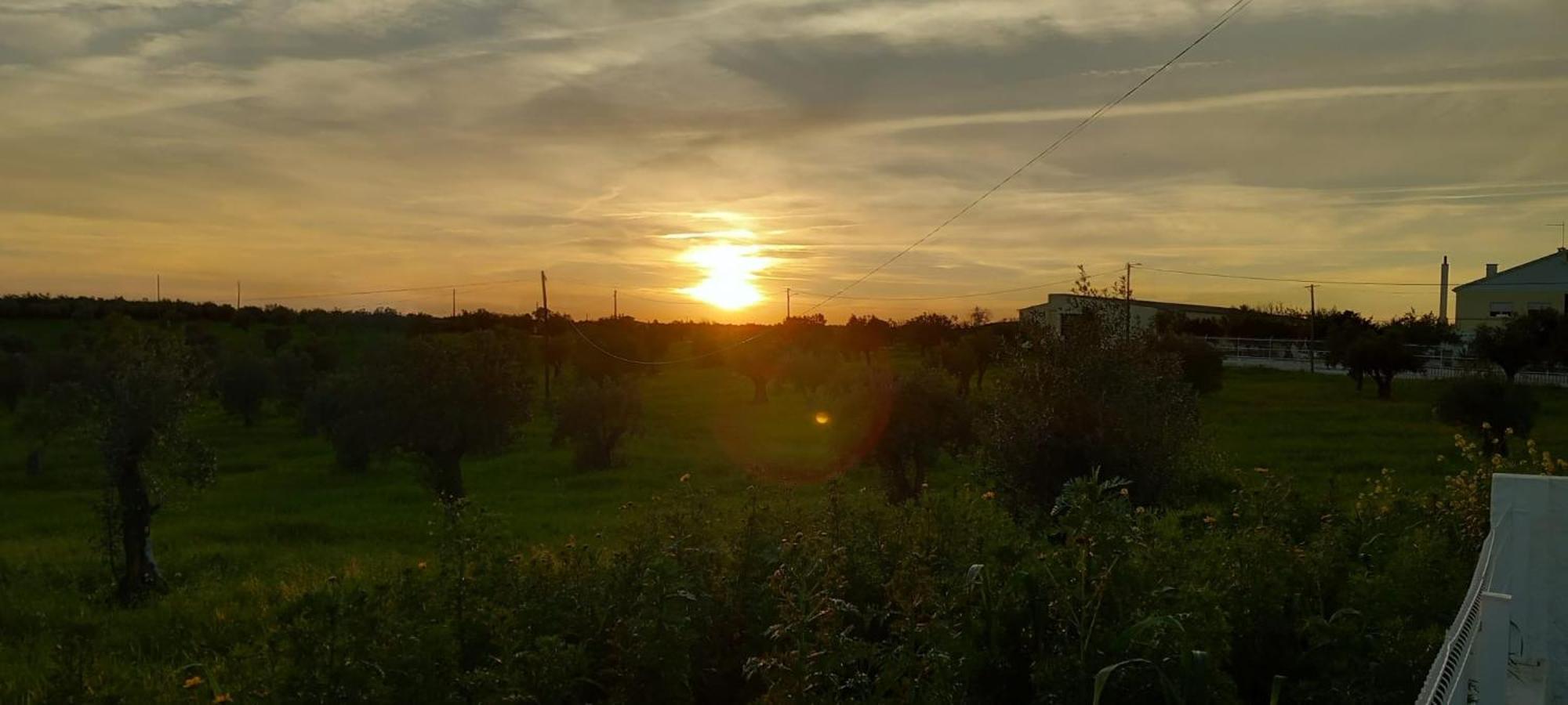 Snow Guest House Santarem Bagian luar foto